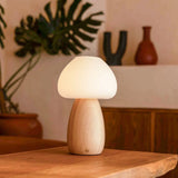 Bear Stylish Rechargeable Lamp – Cordless, Dimmable, Eco-Friendly Design Tavellio