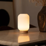 Lilly Unique Rechargeable Lamp – Frosted Glass & Wooden Base, Dimmable, 3 Light Modes Tavellio